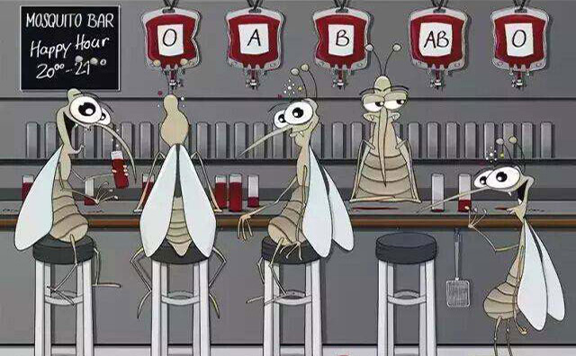 蚊子喜歡叮咬什麽（me）血型的人