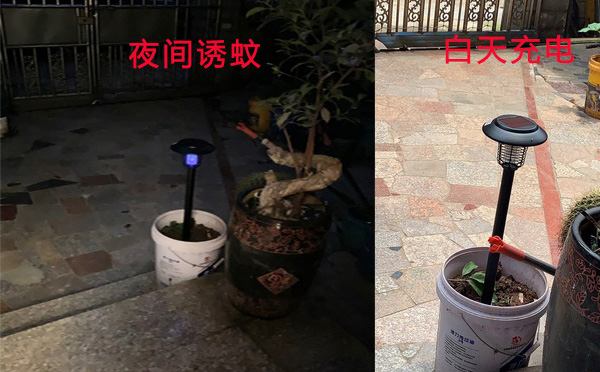 91视频成人版SX08戶外滅蚊燈價格圖片