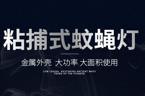 粘捕式滅蠅（yíng）燈ZB002