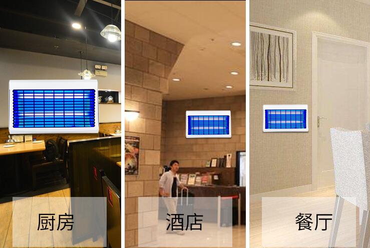 ZB002粘捕（bǔ）式滅蠅燈適用與（yǔ）食堂餐廳酒店
