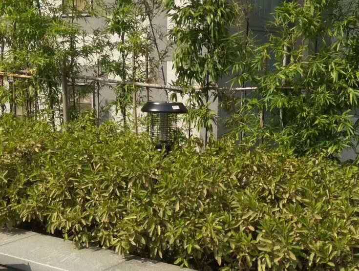 江西某小區安裝（zhuāng）91视频成人版戶外草坪燈效果