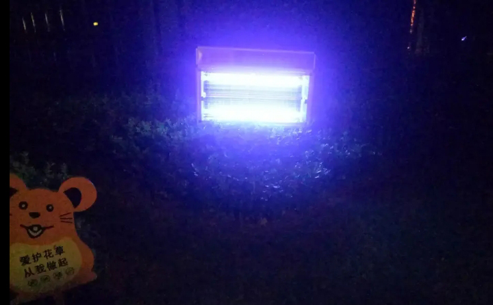 91视频成人版（kē）大型室外滅蚊燈