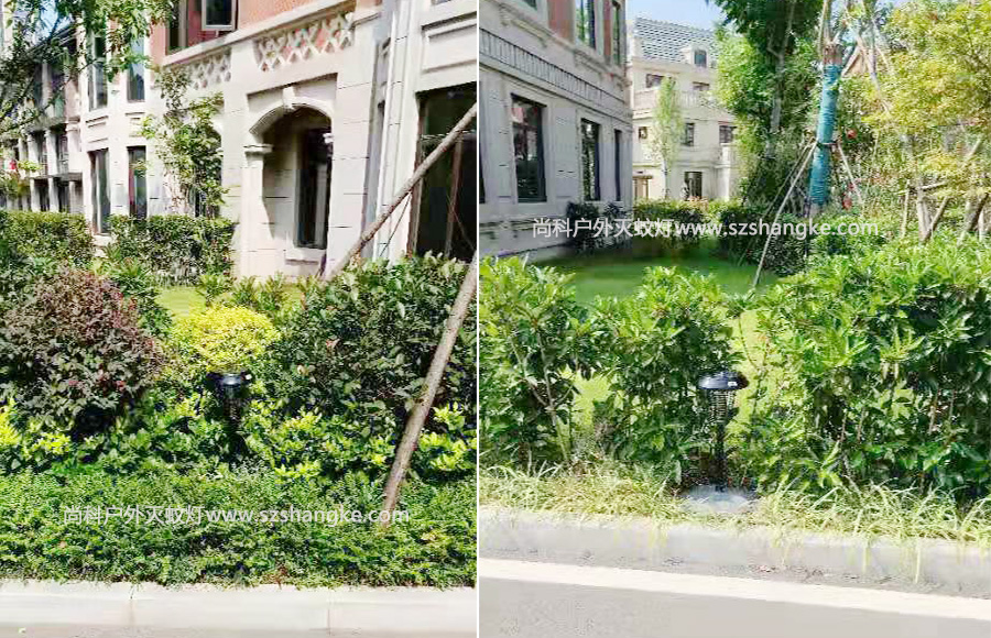 太陽能滅蚊（wén）燈用於社區滅蚊防蚊