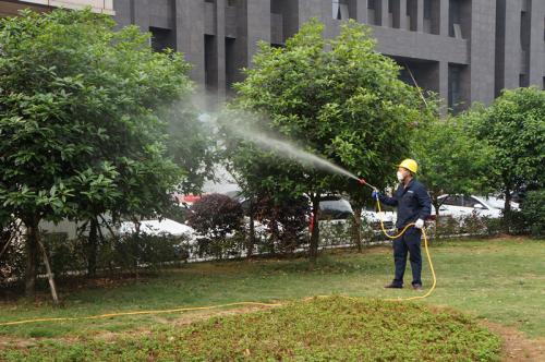 草坪驅蚊，藥物消殺（shā）