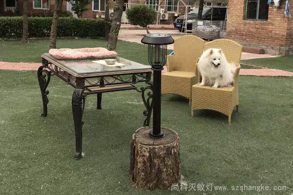 太陽能戶外滅蚊燈別墅庭院使用效（xiào）果