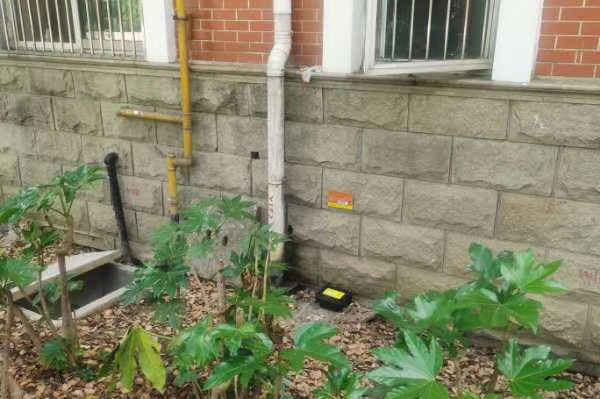 江蘇無錫天一中（zhōng）學捕鼠器