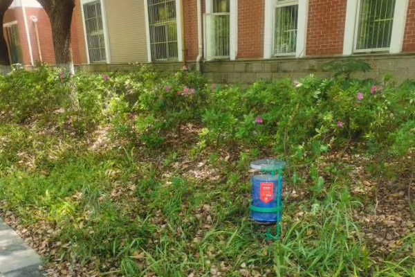 江蘇無（wú）錫天一中學校園滅蠅籠（lóng）