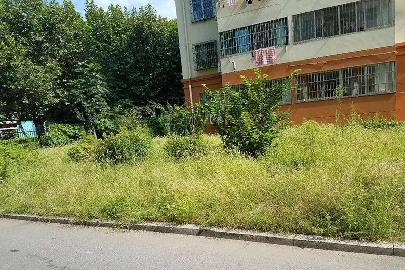 小（xiǎo）區蚊子多物業不管