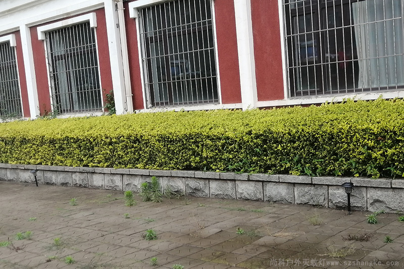 大連101中學學（xué）校滅蚊燈