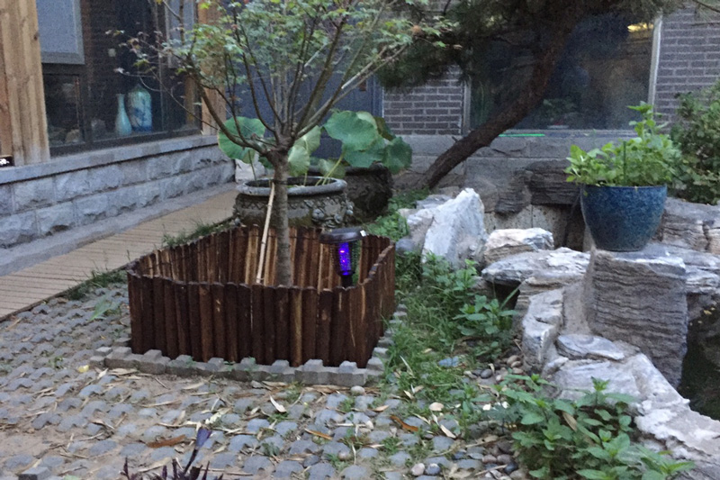 農村庭院（yuàn）滅蚊（wén）技巧—太陽能（néng）滅蚊燈