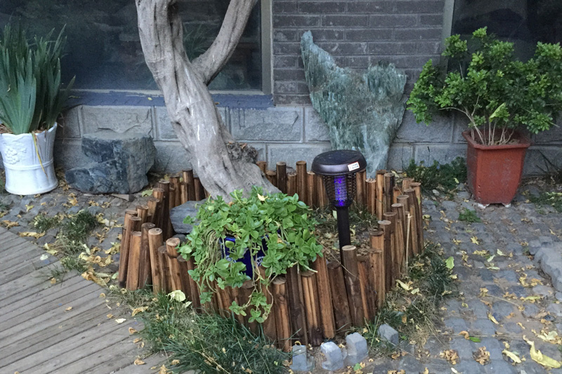 農村庭院滅蚊技巧—太陽能（néng）滅蚊燈