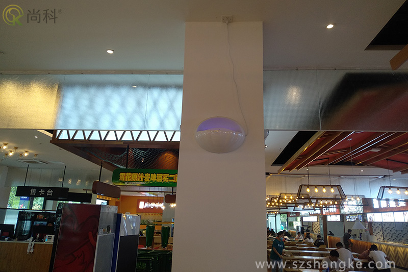 蘇州食堂粘捕式滅蠅（yíng）燈效果