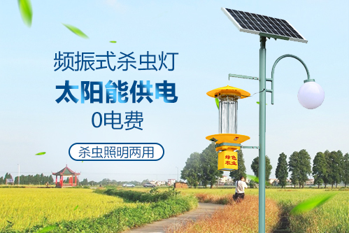 照明和滅蚊一體太陽能(néng)滅蚊燈 照明和滅蚊一體太陽能滅蚊燈(dēng)