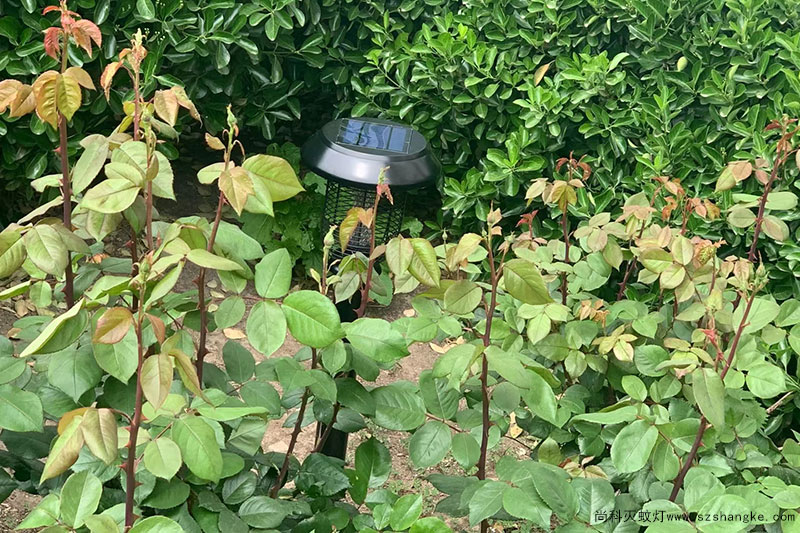 醫院安裝戶（hù）外太陽能滅蚊燈