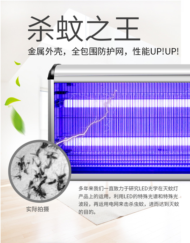 60W大功率滅（miè）蠅燈吸附式滅蠅（yíng）器