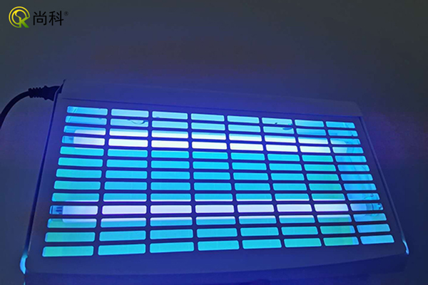 食品工廠車間滅蠅（yíng）燈效果（guǒ）ZB002