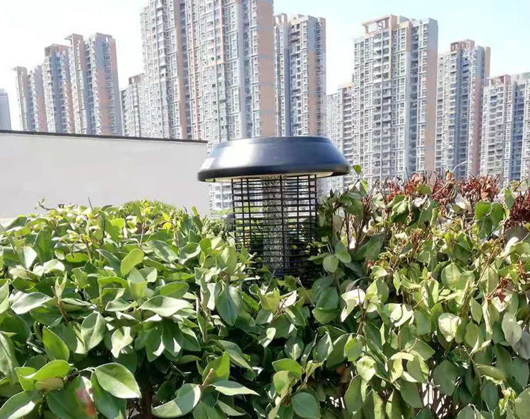 公園滅蚊燈的五大特點，不再被蚊子困擾