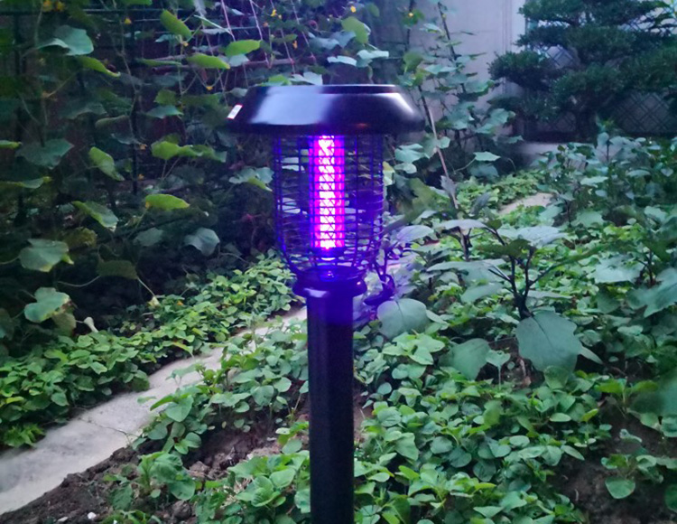 滅蚊燈藍光是不是越亮效果越好